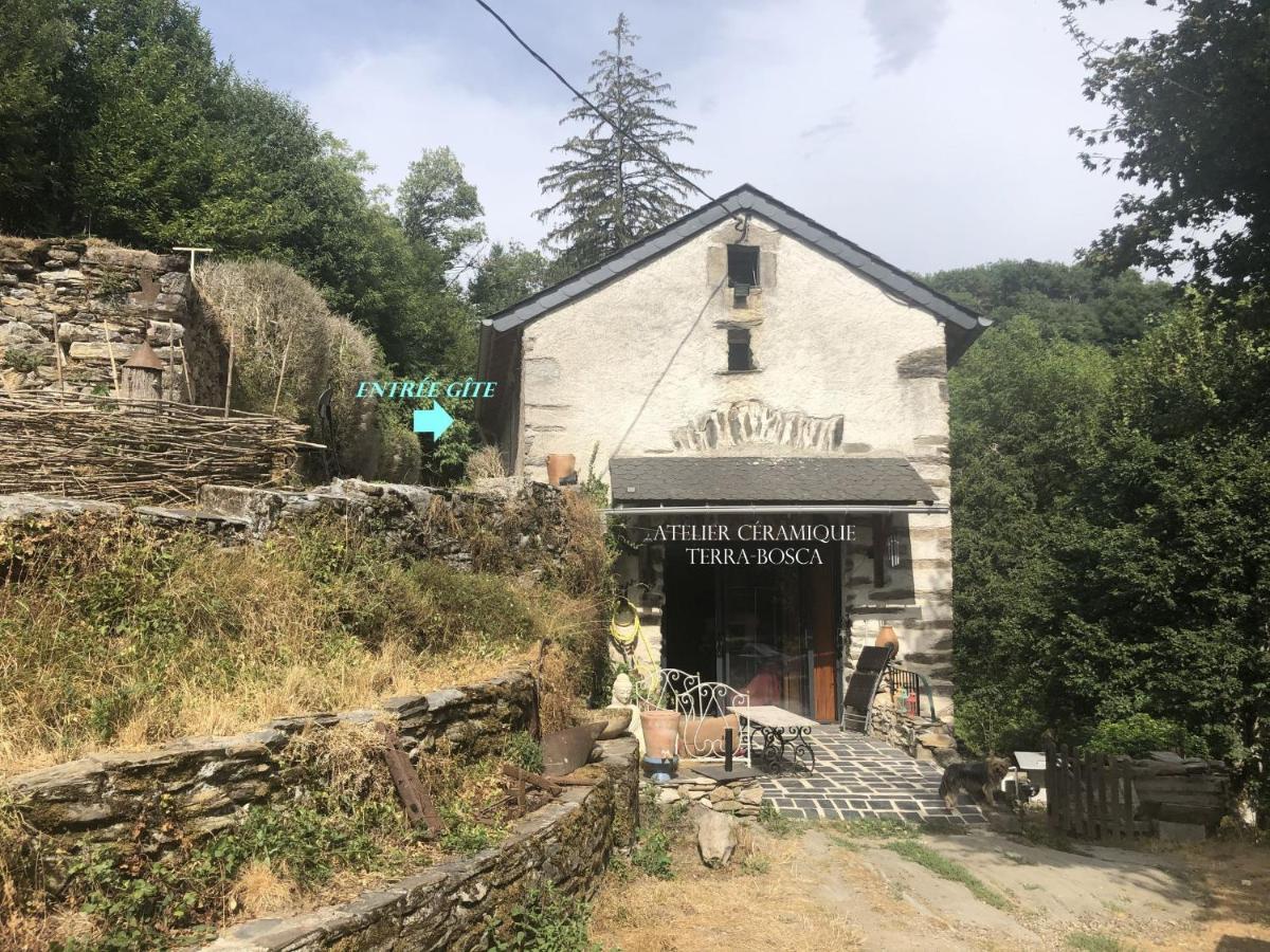 Gite Terra Bosca Cambounes Exterior foto